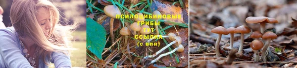 кокаин колумбия Абинск