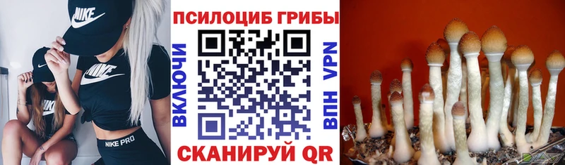Псилоцибиновые грибы мухоморы Анадырь